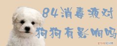 84消毒液的气味对狗狗有伤害吗 84消毒液对狗狗有影响吗