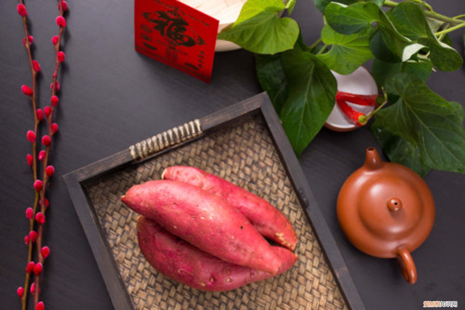 红薯怎样育苗方法 怎么育红薯苗