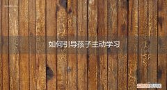 如何引导孩子主动学习