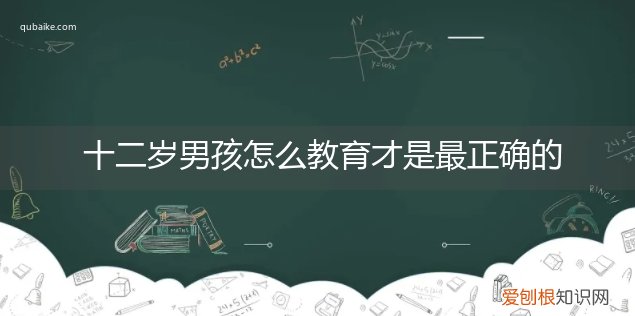 怎样对十二岁的男孩子教育 十二岁男孩怎么教育才是最正确的