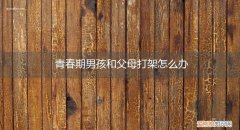青春期孩子暴打父母 青春期男孩和父母打架怎么办