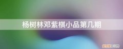 杨树林邓紫琪小品 杨树林邓紫棋小品第几期