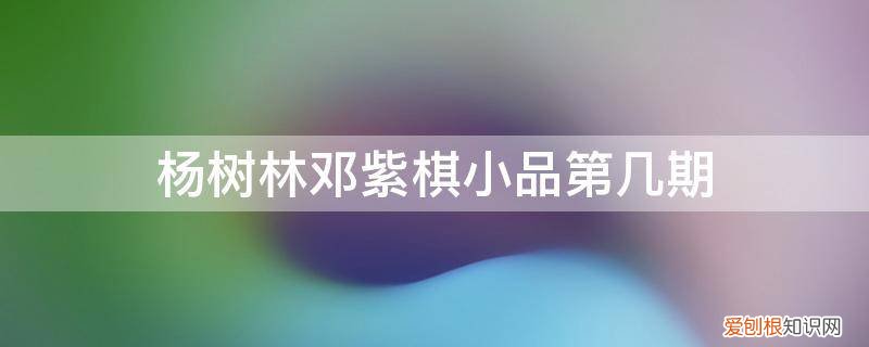 杨树林邓紫琪小品 杨树林邓紫棋小品第几期