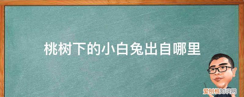 桃树下的小白兔美篇 桃树下的小白兔出自哪里