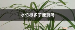 水竹根多了能剪吗 水竹根多了能剪吗