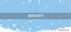 食用醋能除锈吗 醋能除锈吗