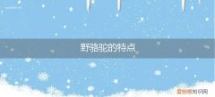 野骆驼和骆驼的区别 野骆驼的特点