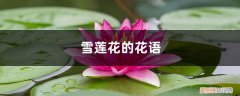 雪莲花的花语是什么? 雪莲花的花语，有什么传说