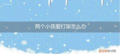 两个孩子总是打架我该怎么办 两个小孩爱打架怎么办