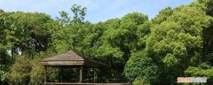 如何介绍公园景观 景观公园八字概括怎么写
