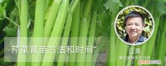芹菜育苗方法和时间山东 芹菜育苗方法和时间