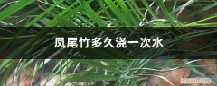 冬天凤尾竹多久浇一次水 凤尾竹多久浇一次水