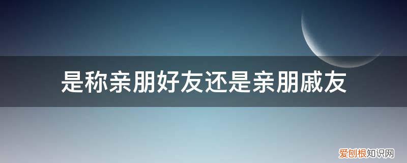 亲戚朋友总称叫什么友 是称亲朋好友还是亲朋戚友