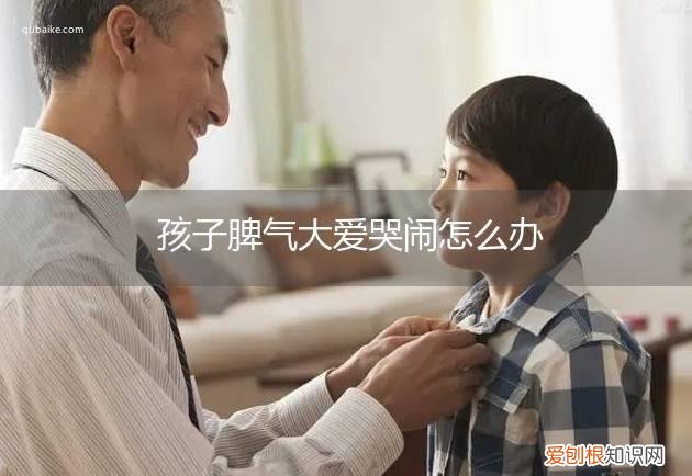 小孩爱哭脾气大 孩子脾气大爱哭闹怎么办