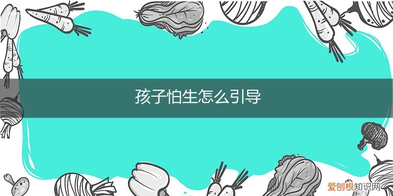 怕生的孩子怎么教导 孩子怕生怎么引导