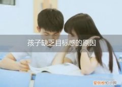 小孩没有目标性怎么办 孩子缺乏目标感的原因