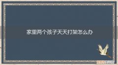 两个儿子天天打架怎么办 家里两个孩子天天打架怎么办