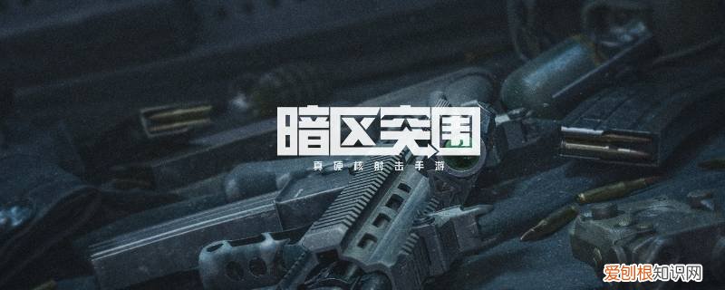 暗区突围什么机型可以玩 暗区突围游戏机可以带进游戏吗