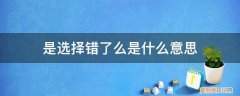 有些选择错了就是错了 是选择错了么是什么意思