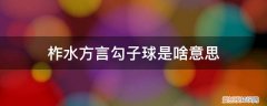 勾子陕西话是什么意思 柞水方言勾子球是啥意思