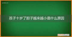 十几岁的孩子胆子很小 孩子十岁了胆子越来越小是什么原因
