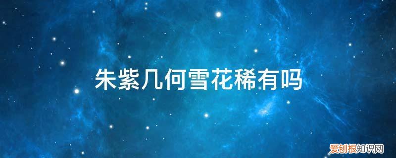 朱紫几何雪花稀有吗