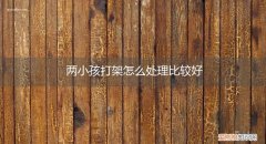 两小孩打架怎么处理比较好呢 两小孩打架怎么处理比较好