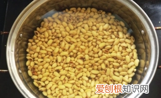 如何炖羊骨头，羊骨头怎么熬汤好喝?