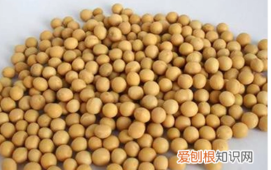 如何炖羊骨头，羊骨头怎么熬汤好喝?