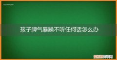 孩子脾气暴躁不听任何话怎么办呢 孩子脾气暴躁不听任何话怎么办