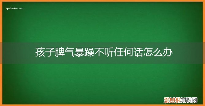 孩子脾气暴躁不听任何话怎么办呢 孩子脾气暴躁不听任何话怎么办