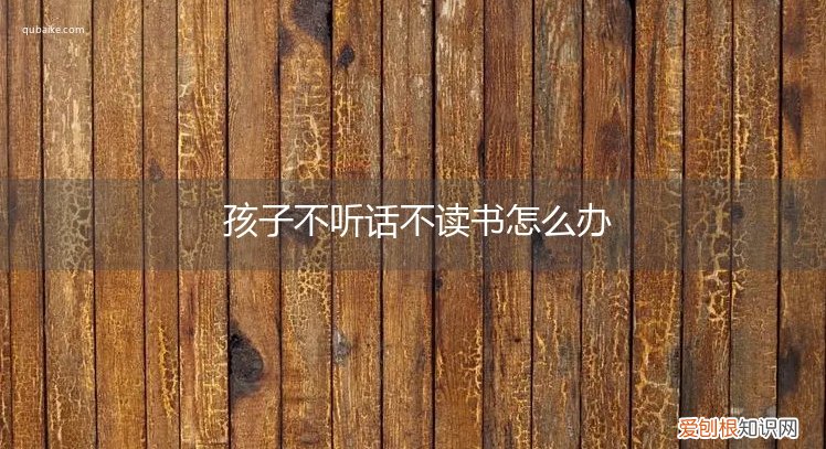 孩子不听话不读书怎么办 孩子不听话不读书怎么办