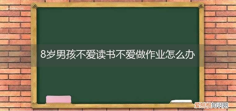 8岁男孩不爱写作业怎么办 8岁男孩不爱读书不爱做作业怎么办