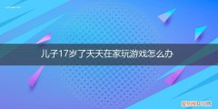17岁天天在家打游戏 儿子17岁了天天在家玩游戏怎么办
