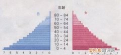 年龄结构分为哪几种类型，人口普查可以改年龄和名字