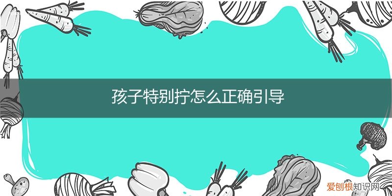 孩子很拧拧可怎办 孩子特别拧怎么正确引导