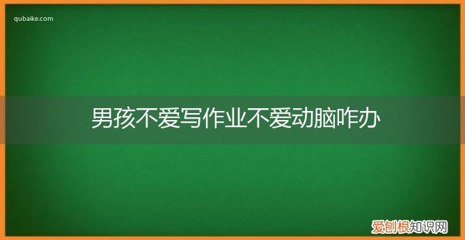 孩子写作业不爱动脑子 男孩不爱写作业不爱动脑咋办