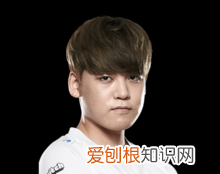 tl战队s11成员 《LOL》S13T1战队队员介绍