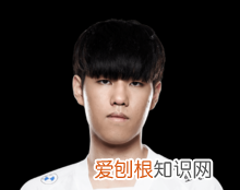 tl战队s11成员 《LOL》S13T1战队队员介绍
