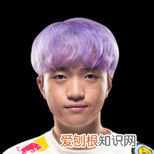 tl战队s11成员 《LOL》S13T1战队队员介绍