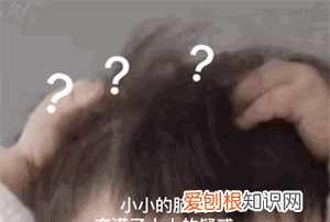 女明星的丸子头又升级了？张雨绮留“小尾巴”，袁姗姗更“炸毛”