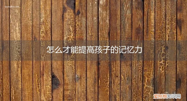 怎样能提高孩子记忆力 怎么才能提高孩子的记忆力