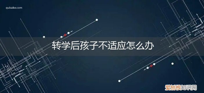 转学了孩子不适应怎么办 转学后孩子不适应怎么办