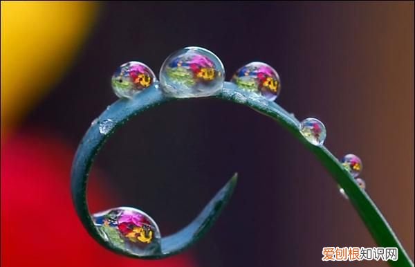 小水珠的特点是什么