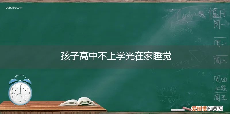 上高中的儿子整天瞌睡没精神 孩子高中不上学光在家睡觉