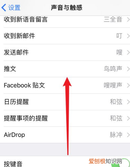 苹果手机按键声音怎么设置，苹果手机怎么开启按键声音