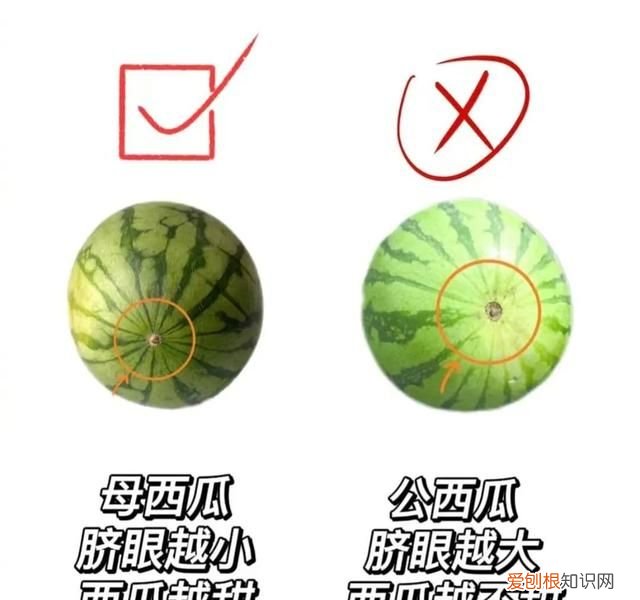 怎么才能买到又甜又好吃的西瓜