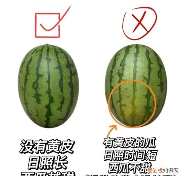 怎么才能买到又甜又好吃的西瓜