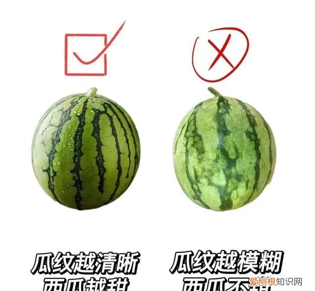 怎么才能买到又甜又好吃的西瓜