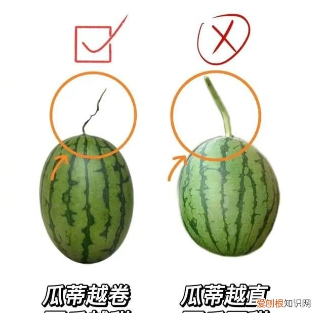 怎么才能买到又甜又好吃的西瓜